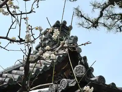 良性院のその他建物