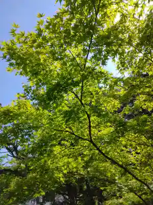 東慶寺(神奈川県)