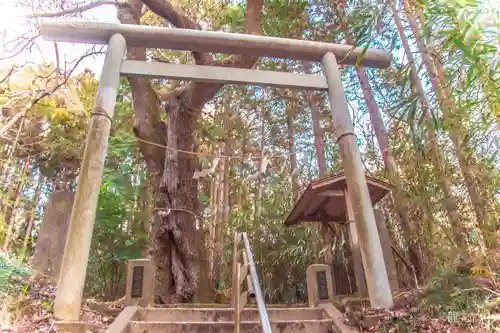 羽黒神社(宮城県)