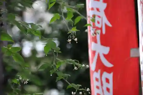 愛宕神社の自然