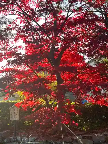 宝来山神社(和歌山県)