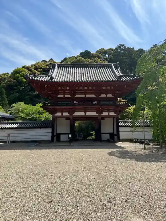 金剛寺(大阪府)