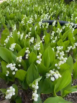 松尾寺(京都府)