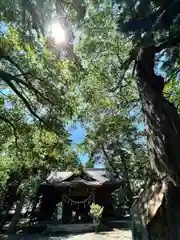 岩崎神社の本殿