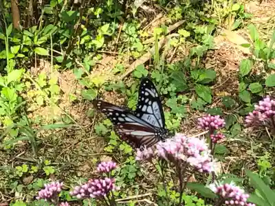 伊射波神社(三重県)