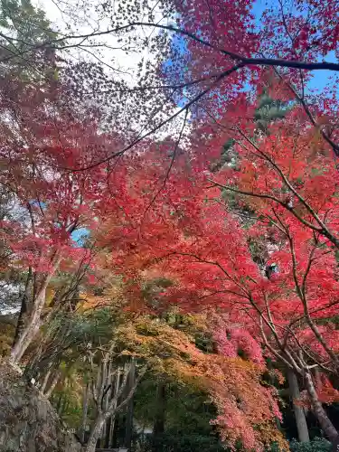 神峯山寺(大阪府)