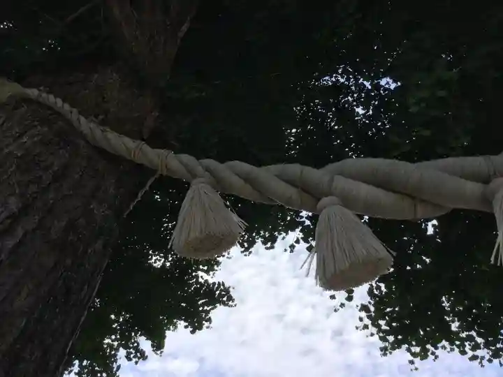 亀ケ池八幡宮のその他建物