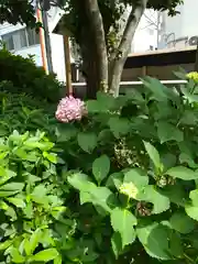 日枝神社(東京都)