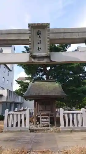 胎内神社の鳥居