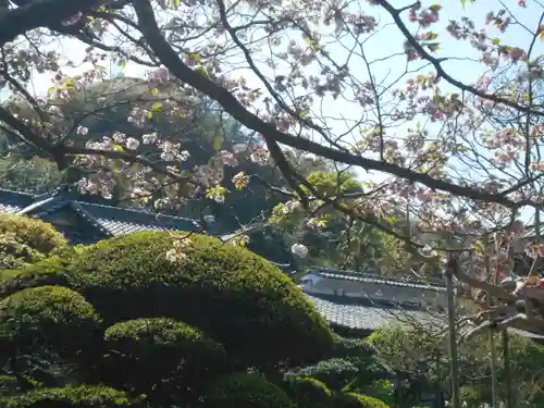 極楽寺（霊鷲山感應院極楽律寺）の自然