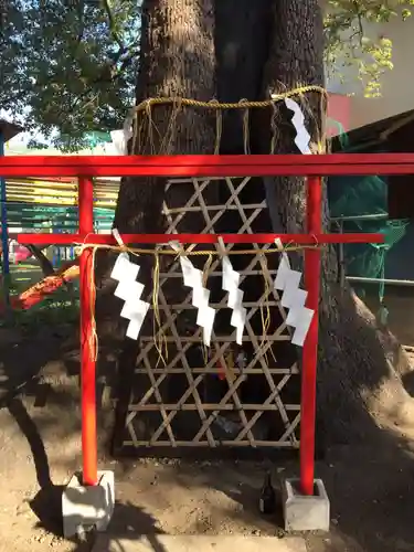 五方山熊野神社の鳥居