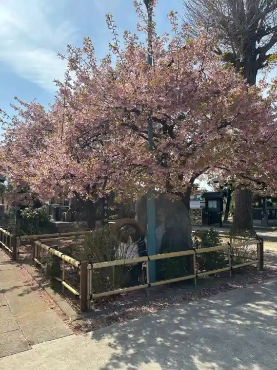 芳林寺の{uncategorized: "未分類", other: "その他", undefined: "問題あり", building: "その他建物", grave: "お墓", sacred_gate: "鳥居", guardian: "狛犬", statue: "像", buddha: "仏像", history: "歴史", nature: "自然", garden: "庭園", animal: "動物", pagoda: "塔", temizu: "手水舎", mountain_gate: "山門・神門", sanctuary: "本殿・本堂", subordinate: "末社・摂社", art: "芸術", scenery: "景色", jizo: "地蔵", ema: "絵馬", goshuin: "御朱印", omikuji: "おみくじ", items: "授与品その他", amulet: "お守り", goshuincho: "御朱印帳", eats: "食事", festival: "お祭り", votive_dance: "神楽", shichigosan: "七五三参", wedding: "結婚式", experience: "体験その他", initially: "初詣", around: "周辺", anti_infection: "感染症対策"}