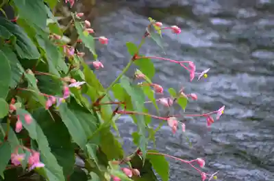 加茂神社(滋賀県)