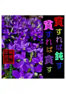 耕田院(山形県)(2023年06月15日(木) 02時04分56秒投稿)