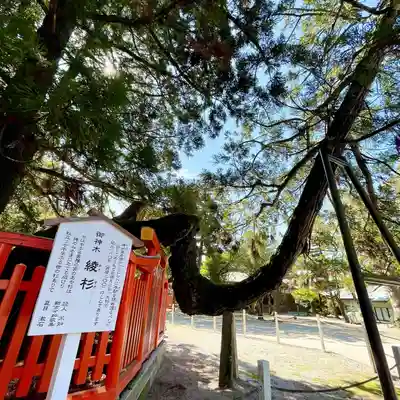 香椎宮(福岡県)