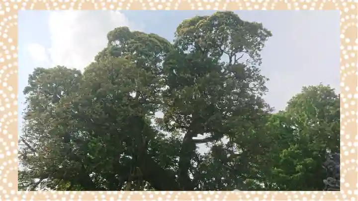 九重神社(埼玉県)