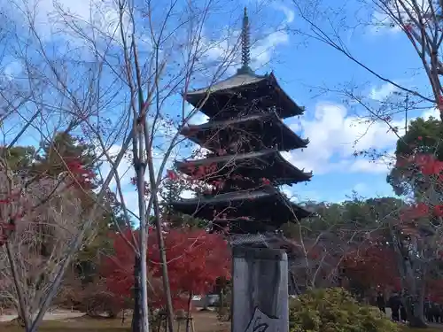 仁和寺の塔