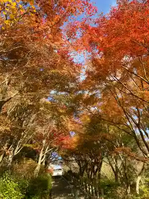 忉利天上寺(兵庫県)