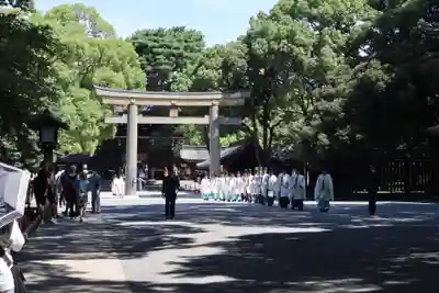 明治神宮(東京都)
