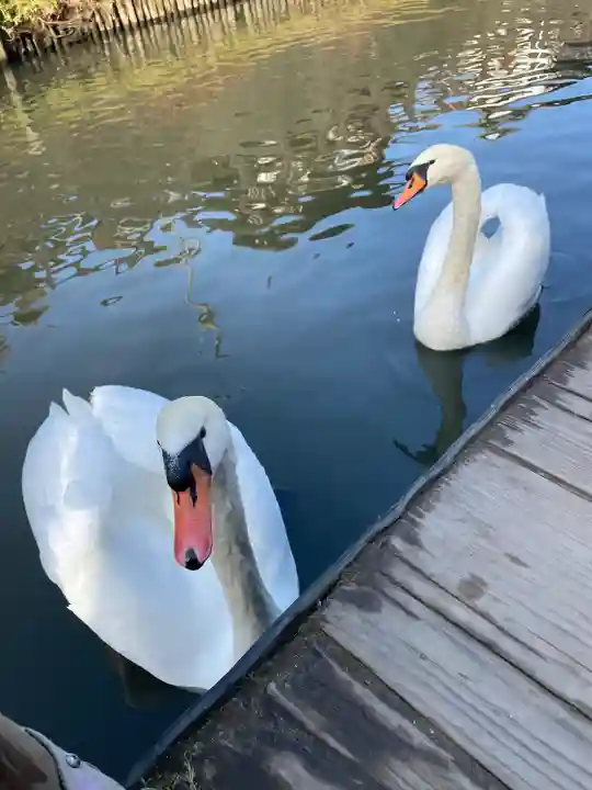 香取神宮(千葉県)