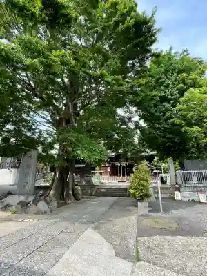 滝野川八幡神社(東京都)