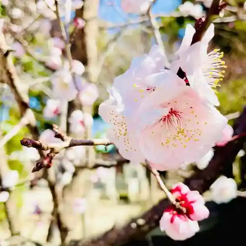 現人神社(福岡県)