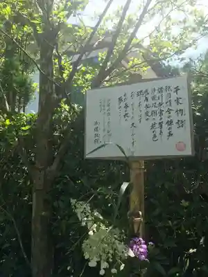 明月院(神奈川県)