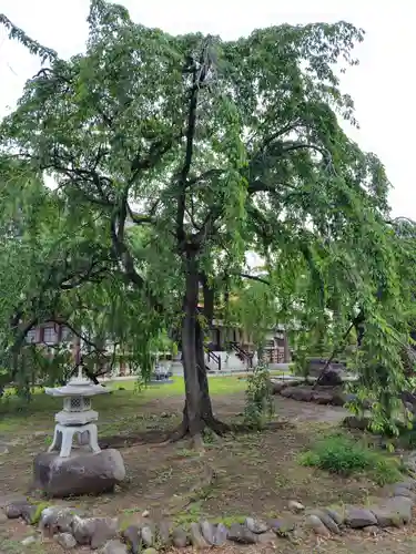 慈眼寺(群馬県)