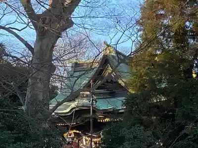 白旗神社の本殿・本堂
