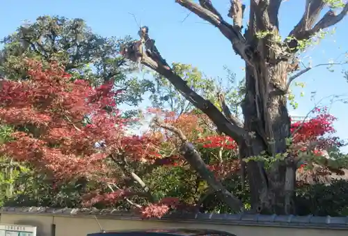 天王寺(東京都)