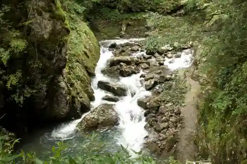 元伊勢天岩戸神社の自然