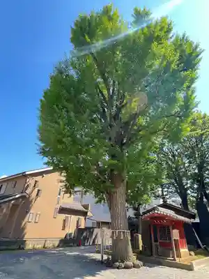 取手八坂神社(茨城県)