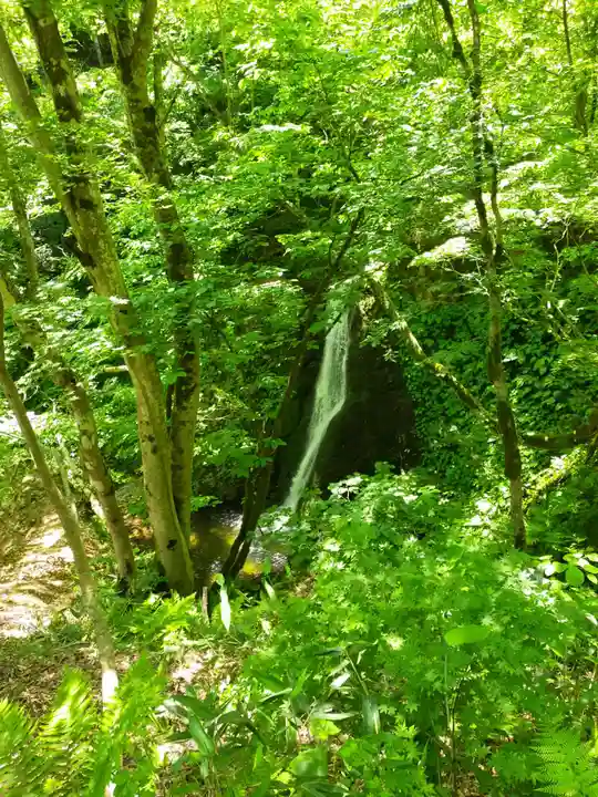 大山祇神社の自然