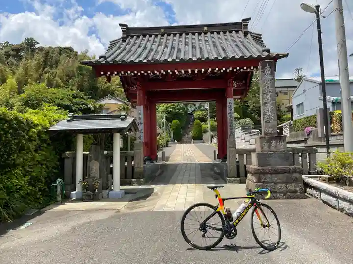 妙光寺の山門・神門