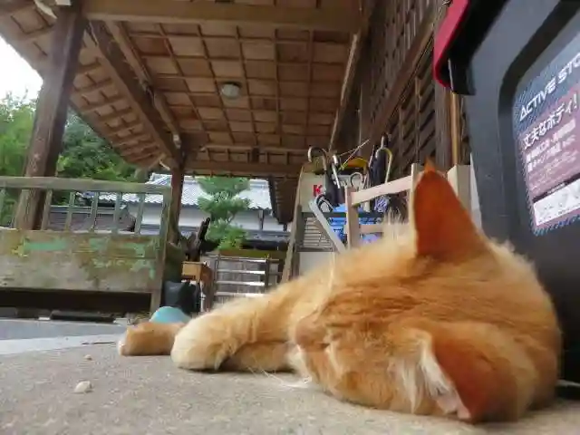 矢田寺(奈良県)