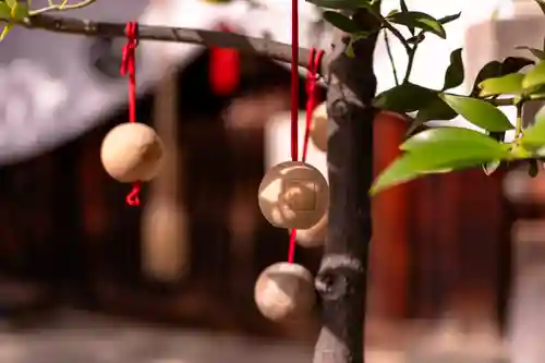 元祇園梛神社・隼神社(京都府)