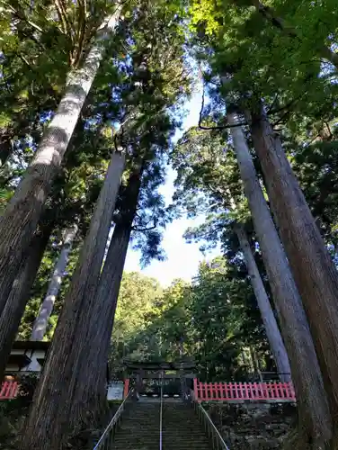 鳳来山東照宮(愛知県)