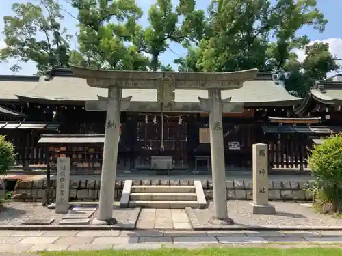 難波大社　生國魂神社の鳥居