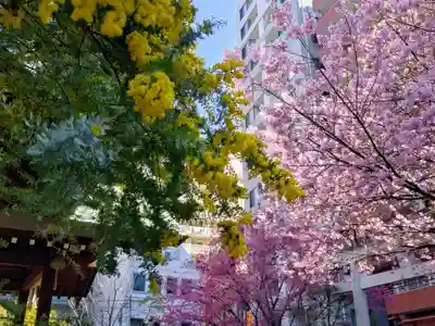 蔵前神社(東京都)