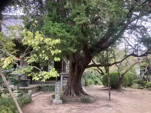 宝戒寺(神奈川県)