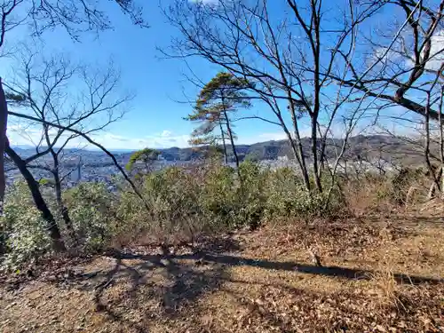 雷電神社 奥の院（助戸東山町）(栃木県)