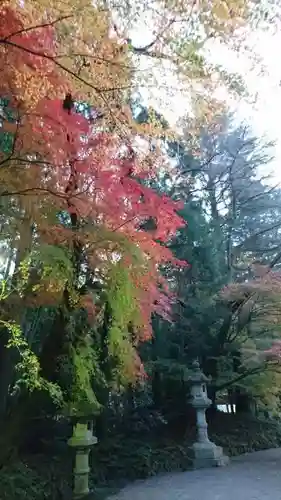 香取神宮の自然