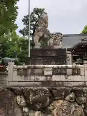 藤森神社の狛犬