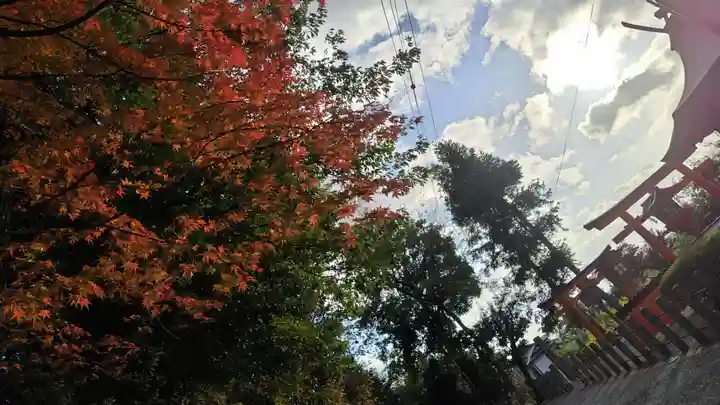 吉田神社(京都府)