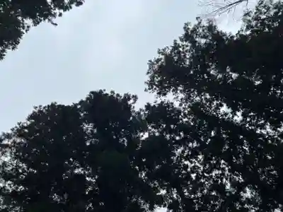 大宮温泉神社(栃木県)