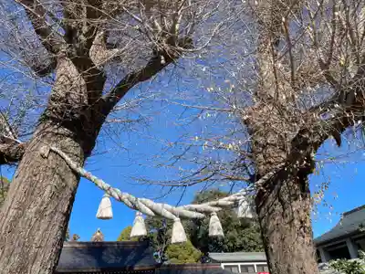 亀ケ池八幡宮(神奈川県)