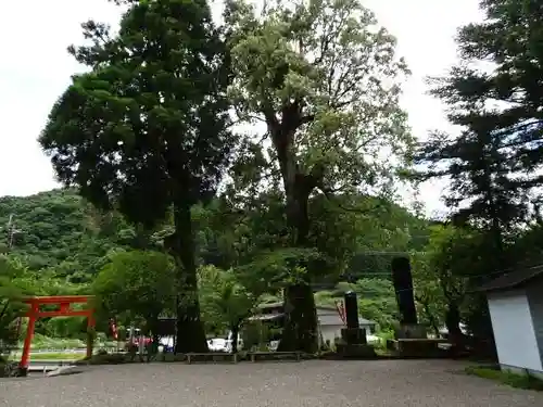 巖島神社の自然