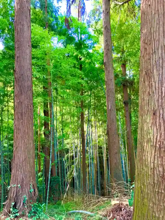 城中八幡神社(茨城県)