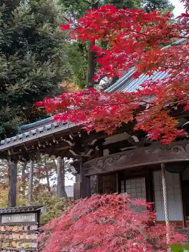 妙法寺(東京都)