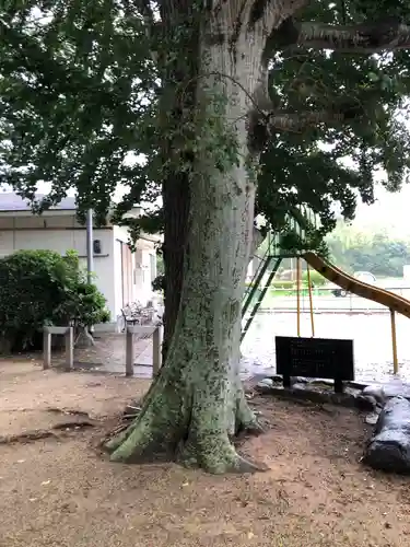 岸河神社の自然